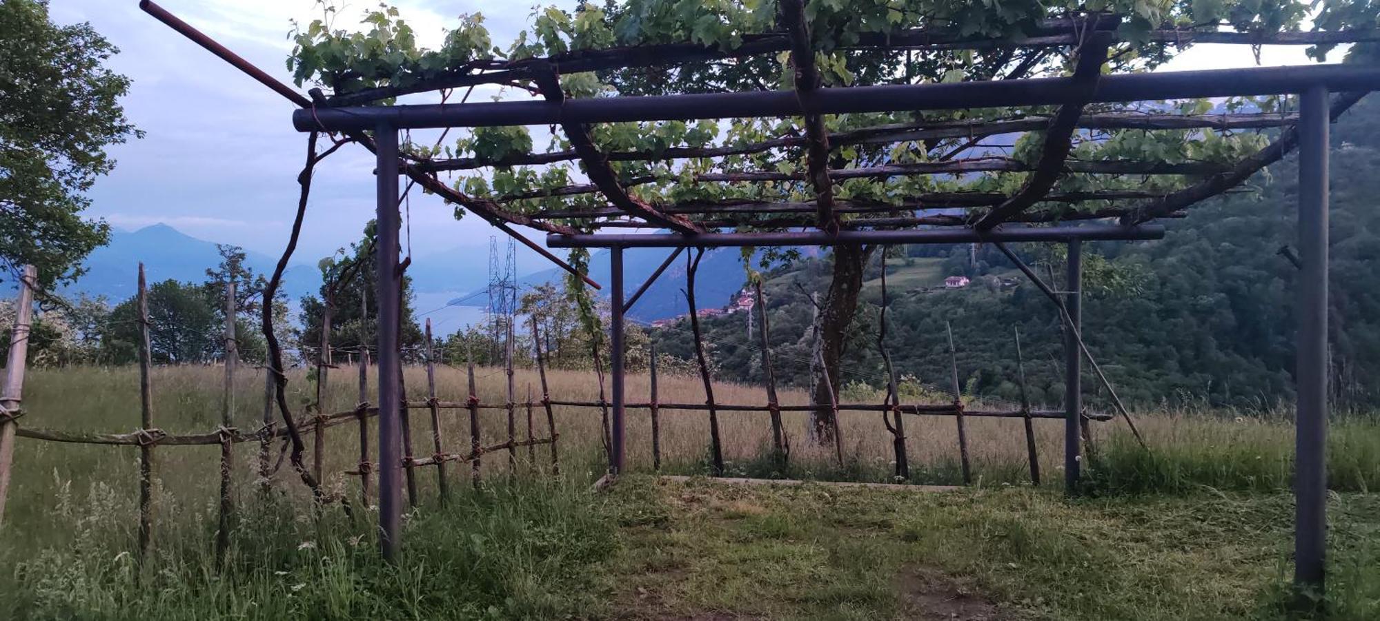ホテル Casa Fontanera グラヴェドーナ エクステリア 写真